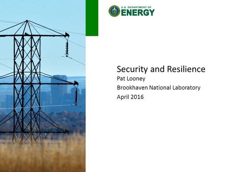 Security and Resilience Pat Looney Brookhaven National Laboratory April 2016.