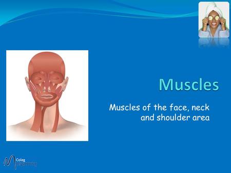 Muscles of the face, neck and shoulder area Unlike other muscles in the body, facial muscles are attached to the skin of the face. This is why we get.