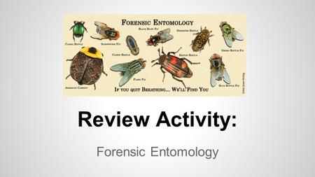 Review Activity: Forensic Entomology. ●You can do this activity by yourself or partner up with one or two others. ●Get out a sheet of notebook paper and.