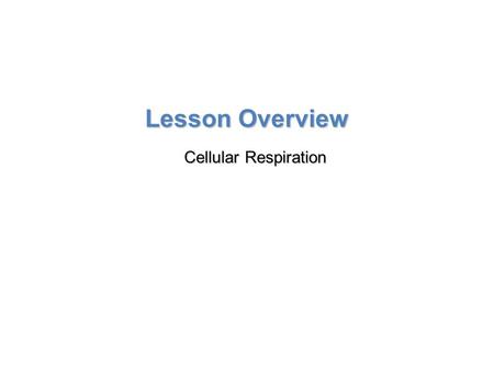 Lesson Overview Lesson Overview Cellular Respiration: An Overview Lesson Overview Cellular Respiration.