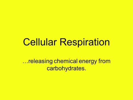 Cellular Respiration …releasing chemical energy from carbohydrates.