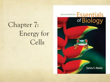 Chapter 7: Energy for Cells. Cellular Respiration ATP molecules are produced during cellular respiration with the help of the mitochondria Respiration.