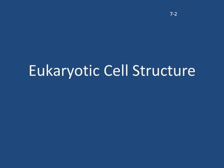 Eukaryotic Cell Structure 7-2. Organelles All the tiny structures that are found inside a cell are called organelles Organelle = means “little organs”
