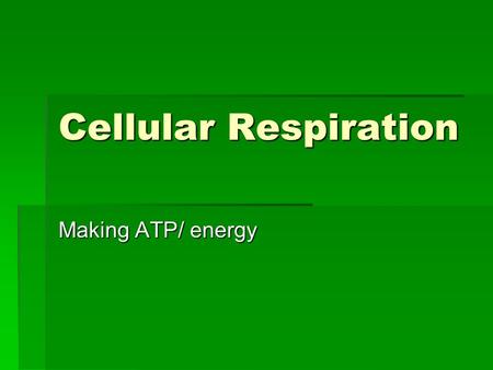 Cellular Respiration Making ATP/ energy. What is it?  Cell Respiration is an exchange of gases to produce _________ (by breaking down glucose)  ATP.