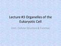 Lecture #3 Organelles of the Eukaryotic Cell Unit: Cellular Structure & Function.