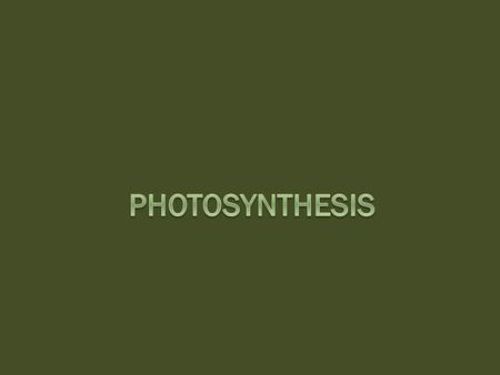 Photosynthesis (in a nutshell)  The energy originally from sunlight is transformed and used to combine CO 2 and H 2 O into Glucose (C 6 H 12 O 6 ) or.