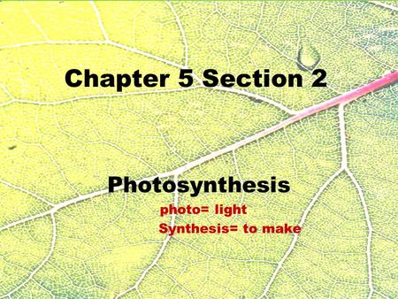 Chapter 5 Section 2 Photosynthesis photo= light Synthesis= to make.