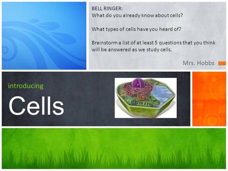 Mrs. Hobbs introducing Cells BELL RINGER: What do you already know about cells? What types of cells have you heard of? Brainstorm a list of at least 5.