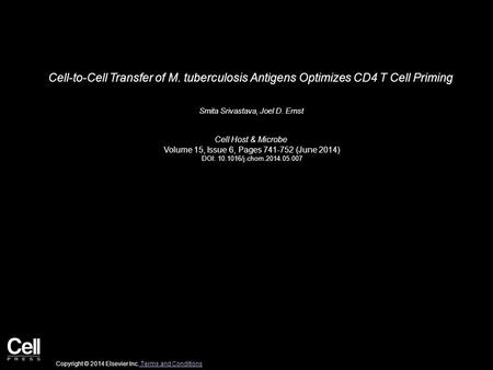 Cell-to-Cell Transfer of M. tuberculosis Antigens Optimizes CD4 T Cell Priming Smita Srivastava, Joel D. Ernst Cell Host & Microbe Volume 15, Issue 6,