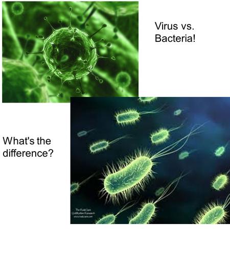 Virus vs. Bacteria! What's the difference?. By the end of today's class you will be able to... Compare and contrast microbes: · Size, shape, structure.