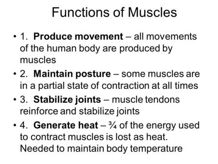 Functions of Muscles 1. Produce movement – all movements of the human body are produced by muscles 2. Maintain posture – some muscles are in a partial.
