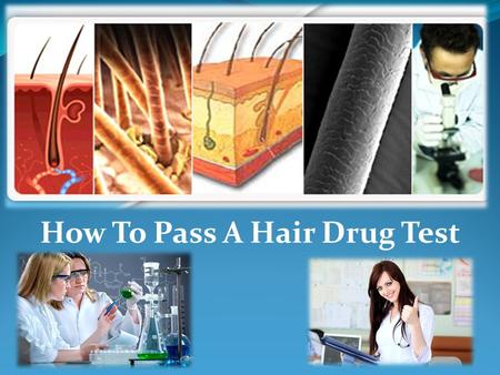 How To Pass A Hair Drug Test. What is a Hair Drug Test? As its name connotes, this kind of drug testing uses hair follicles to establish and verify persistent.