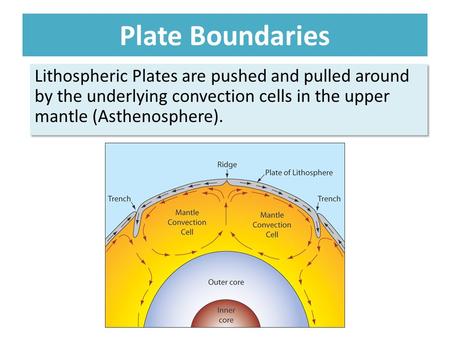 Plate Boundaries Lithospheric Plates are pushed and pulled around by the underlying convection cells in the upper mantle (Asthenosphere).