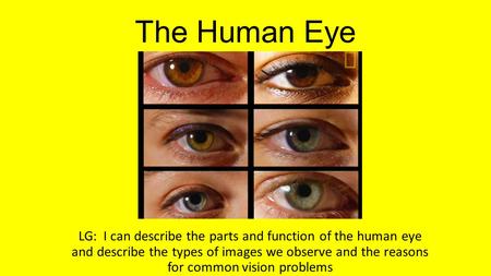 The Human Eye LG: I can describe the parts and function of the human eye and describe the types of images we observe and the reasons for common vision.