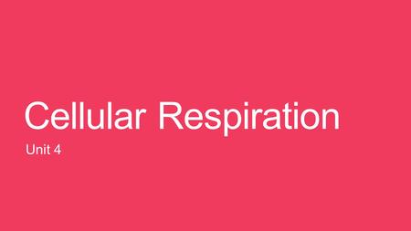 Cellular Respiration Unit 4. What is Cellular Respiration? Cellular respiration: ______________________________________ _____________________________________.