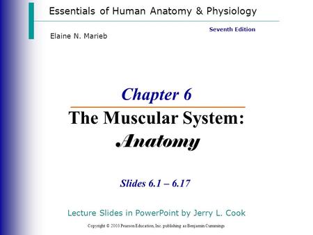 Essentials of Human Anatomy & Physiology Copyright © 2003 Pearson Education, Inc. publishing as Benjamin Cummings Slides 6.1 – 6.17 Seventh Edition Elaine.