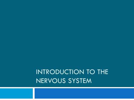 INTRODUCTION TO THE NERVOUS SYSTEM. Functions of the Nervous System.