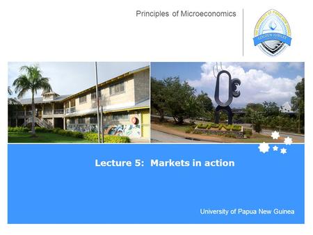 University of Papua New Guinea Principles of Microeconomics Lecture 5: Markets in action.
