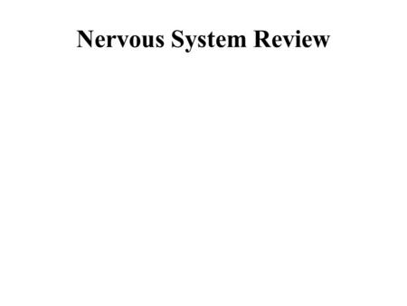 Nervous System Review. What is the function of the nervous system? Regulation To regulate (control) all body processes.