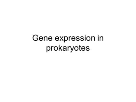Gene expression in prokaryotes. Operon system One promoter can regulate many genes ?What about eukaryotes.