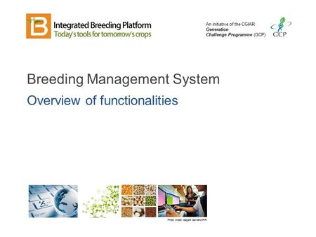 Integrated Breeding Platform (IBP) - Ppt Download