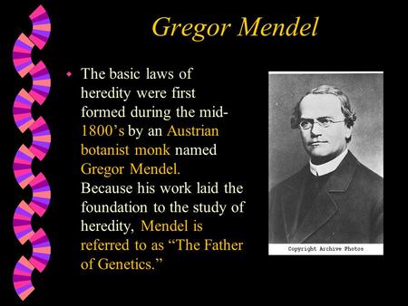 Gregor Mendel w The basic laws of heredity were first formed during the mid- 1800’s by an Austrian botanist monk named Gregor Mendel. Because his work.