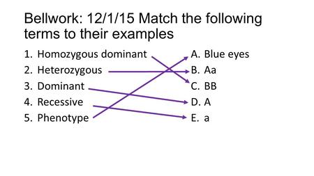 Bellwork: 12/1/15 Match the following terms to their examples 1.Homozygous dominant 2.Heterozygous 3.Dominant 4.Recessive 5.Phenotype A.Blue eyes B.Aa.