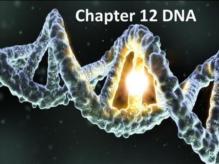 DNA Chapter 12 DNA. Mendel’s work and experiments created more questions and sparked scientists to start researching heredity with a more molecular approach.