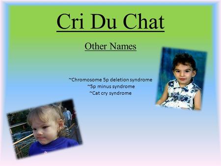 Cri Du Chat Other Names ~Chromosome 5p deletion syndrome ~5p minus syndrome ~Cat cry syndrome.