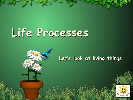 Life Processes Let’s look at living things. Diversity of Living things.