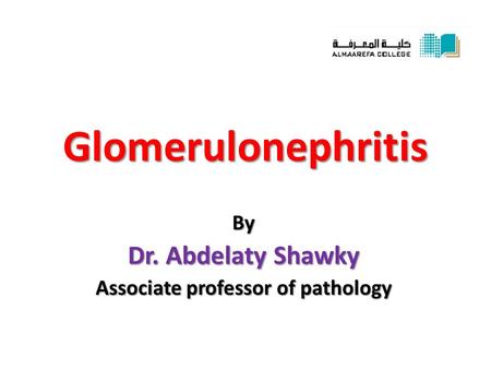 Glomerulonephritis By Dr. Abdelaty Shawky Associate professor of pathology.