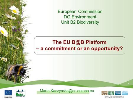 1 The EU Platform – a commitment or an opportunity? European Commission DG Environment Unit B2 Biodiversity