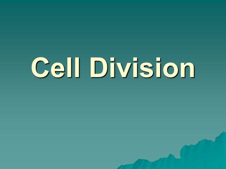 Cell Division. In Prokaryotes…  Reproduce through Binary Fission  Chromosome copies itself  Cell grows larger  Cell divides, with 1 copy of chromosome.
