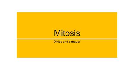 Mitosis Divide and conquer. How do cells multiply? Cell cycle – process where: DNA contained in chromosomes duplicates Parent cell divides each new cell.