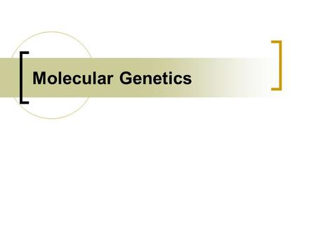 Molecular Genetics. DNA: The Genetic Material MAIN IDEA: The discovery that DNA is the genetic code involved many experiments.