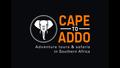 Who is Cape To Addo? Started in 2005 Offer fun, informative, interactive and affordable adventure and cultural tours in and around Cape Town & the Garden.