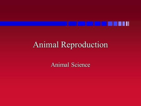 Animal Reproduction Animal Science. Functions of the Male System.