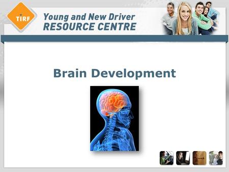 Brain Development. Overview: > Describe brain development > Behavioural effects of brain development > Attitudes and concerns > Solutions.