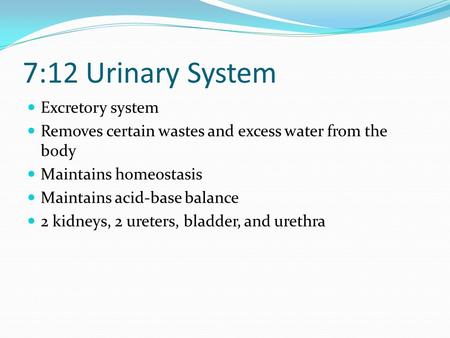7:12 Urinary System Excretory system Removes certain wastes and excess water from the body Maintains homeostasis Maintains acid-base balance 2 kidneys,