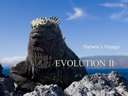 Darwin’s Voyage. POINT > Define biological evolution POINT > Describe Darwin’s voyage on the HMS Beagle POINT > Identify Darwin’s observations on his.