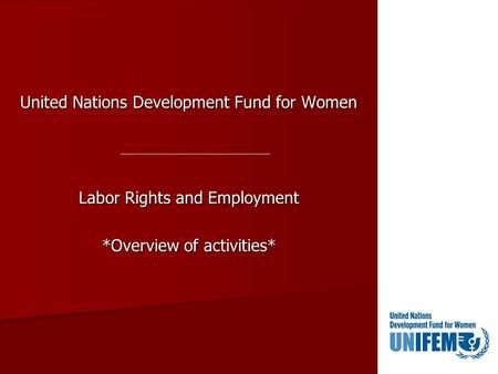 United Nations Development Fund for Women Labor Rights and Employment *Overview of activities*