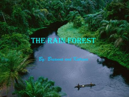 The Rain Forest By: Breanna and Katrina. What is a rain forest? A rain forest is a place where half of all the animals in the world live. There are also.