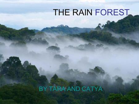 THE RAIN FOREST BY TARA AND CATYA. What is a rain forest? A rainforest is just what its name sounds like -a forest that gets rain almost every day. It.