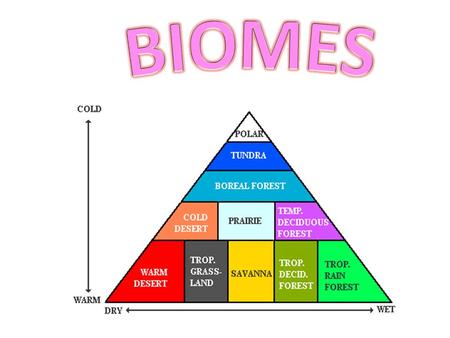 IX. Biomes Biomes = a large group of ecosystems with similar climates and organisms. Two factors that will determine which biome will be dominant on.
