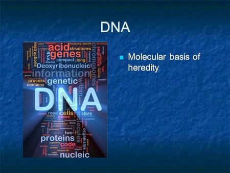 DNA Molecular basis of heredity How much DNA is in my body?  DNA is found in every cell (except red blood cells)  Each cell contains roughly 2 meters.
