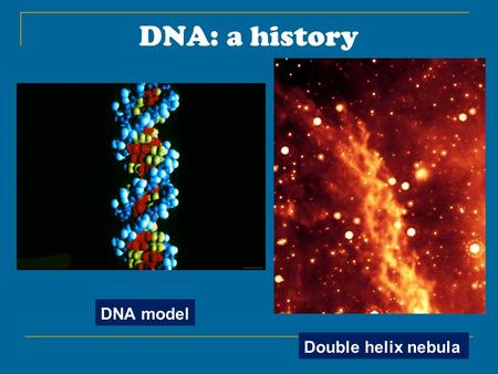 DNA: a history DNA model Double helix nebula. Griffith experiment: 1928 A heat-killed lethal strain of bacteria was added to a non-lethal strain. The.