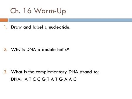 Ch. 16 Warm-Up 1.Draw and label a nucleotide. 2.Why is DNA a double helix? 3.What is the complementary DNA strand to: DNA: A T C C G T A T G A A C.