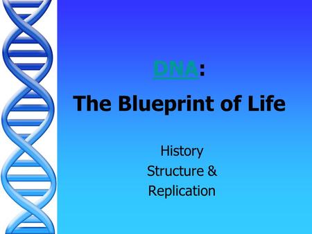 DNADNA: The Blueprint of Life History Structure & Replication.