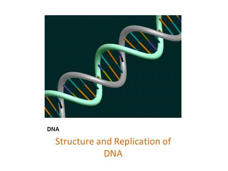 DNA Structure and Replication of DNA. Chromosomes.