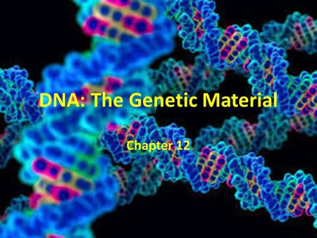 DNA: The Genetic Material Chapter 12. Fredrick Griffith Performed the 1st major experiment that led to the discovery of DNA as actual genetic material.